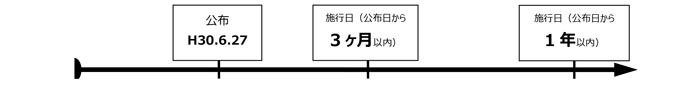 スケジュール